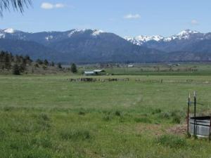 Welcome to Scott Valley