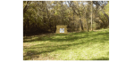 archery