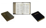 bible2