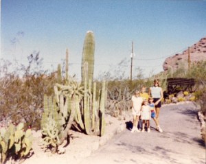The Sonoran Trail