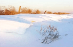 snow